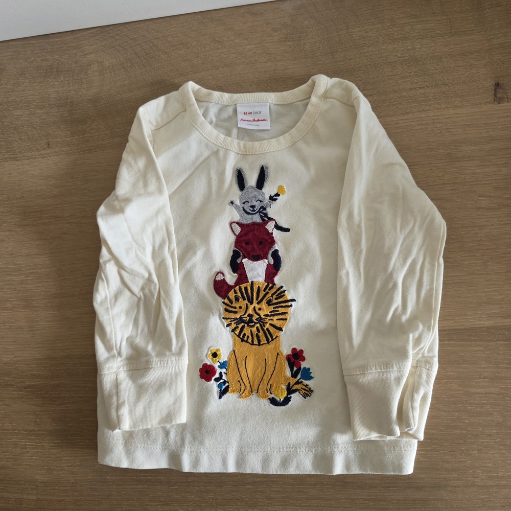 Hanna Andersson 2T Lot | Long Sleeve Graphic Tees Gnome & Forest Animals Unisex